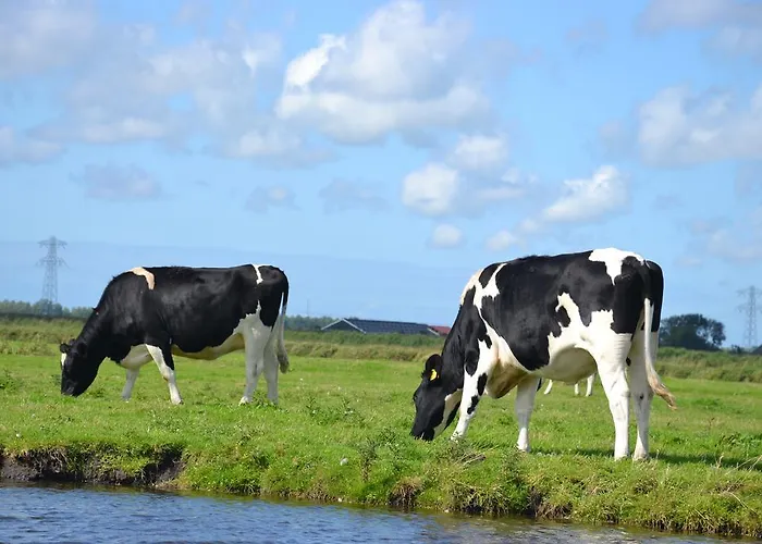 فندق مبيت وإفطار Macbed Checkin-time 1700-1800 Or Request Before Book *